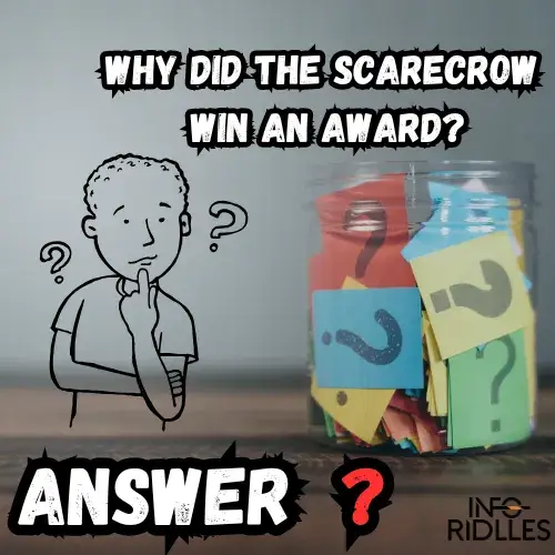 why-did-the-scarecrow-win-an-award