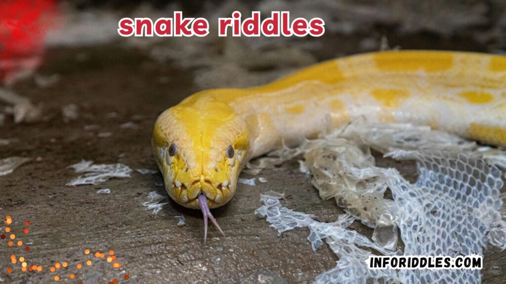 Creepy Snake Riddles to Puzzle You