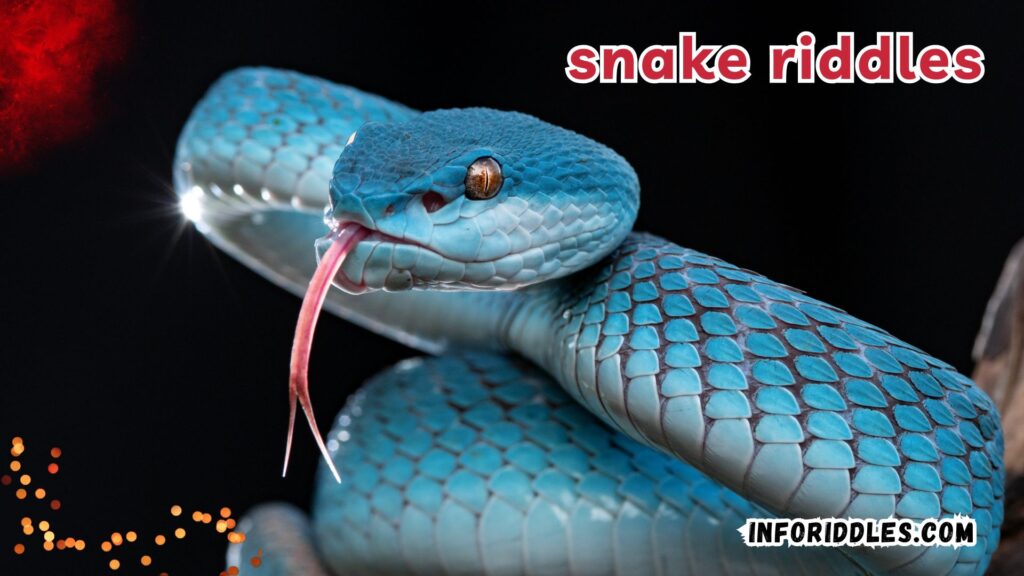 Dive into Hard Snake Riddles