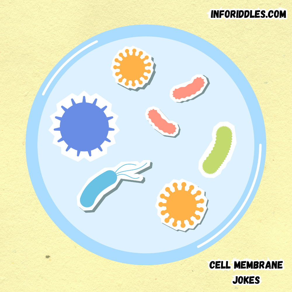 Fun Science: Membrane Humor for Everyone