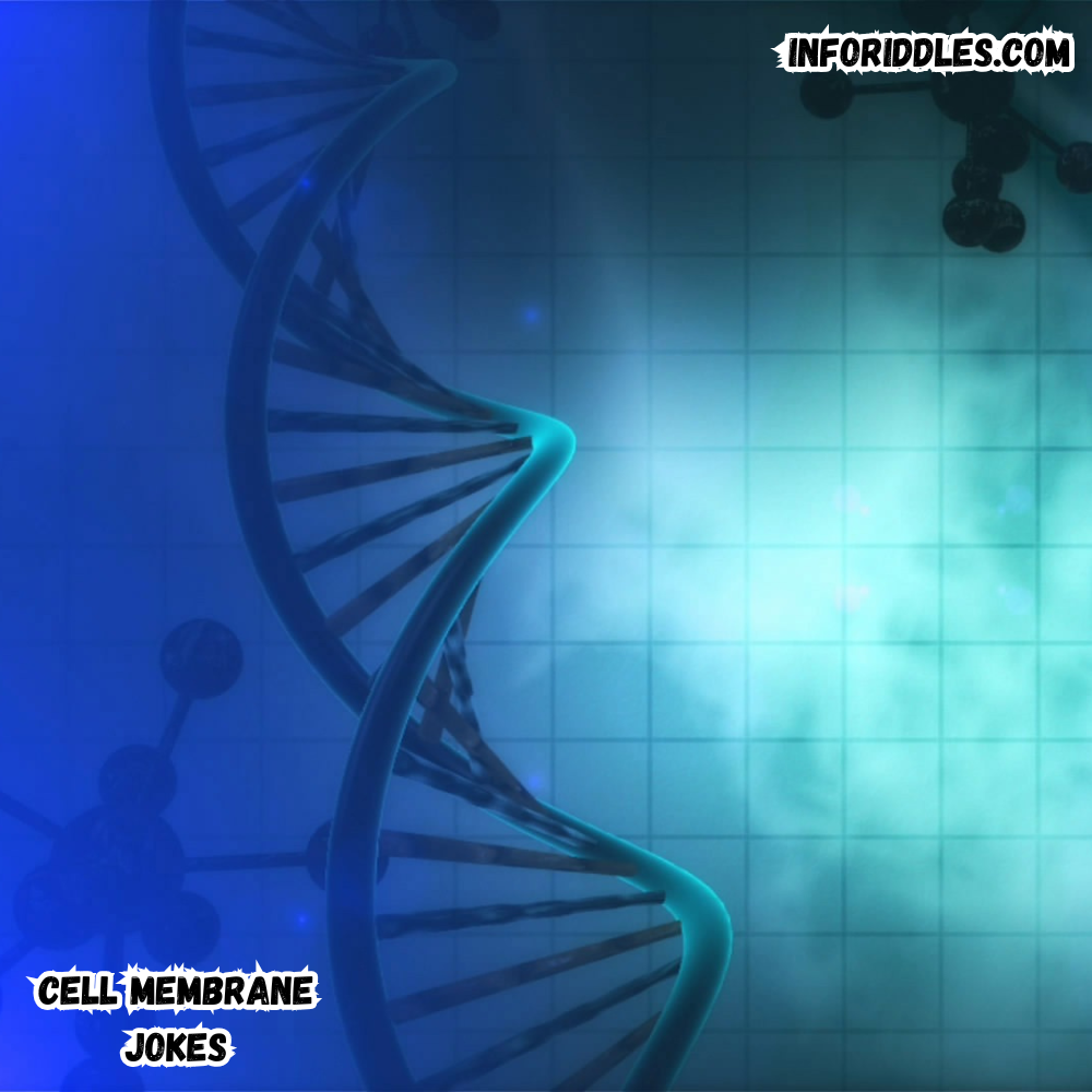 cell membrane jokes