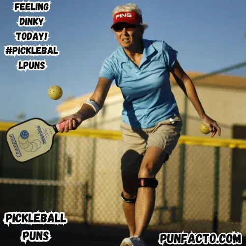 feeling-dinky-today-pickleballpuns