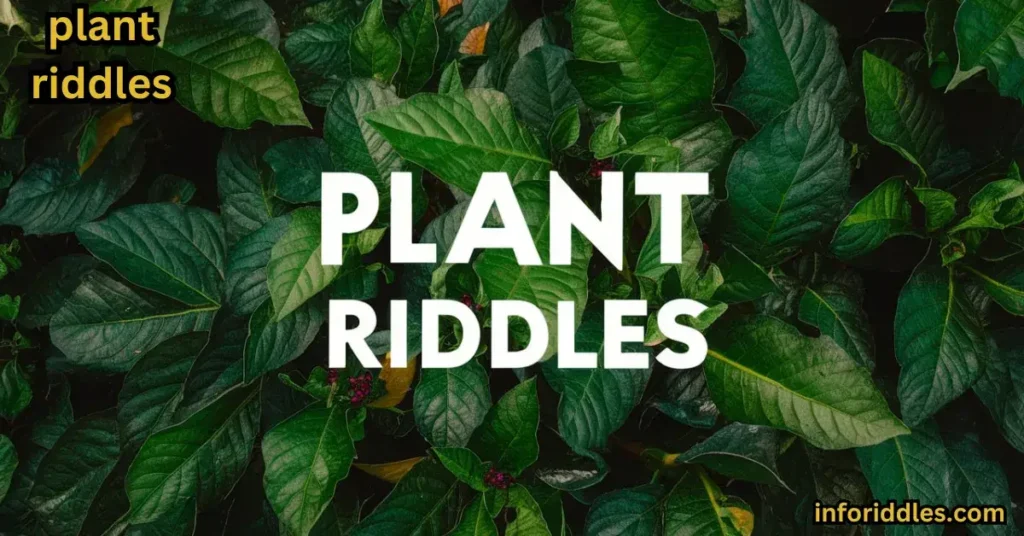 plant-themed-riddles-for-kids-with-answers