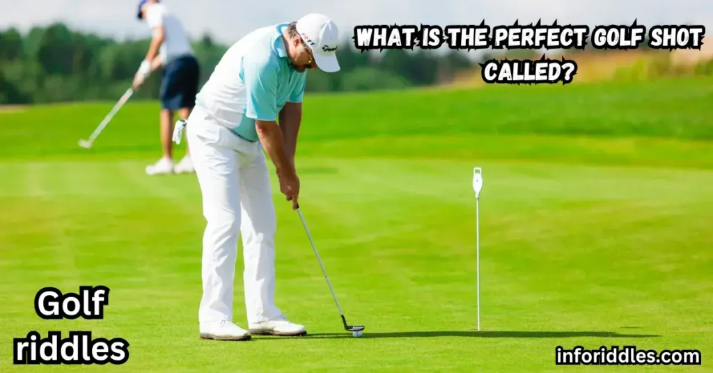 What is the perfect golf shot called