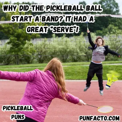 why-did-the-pickleball-ball-start-a-band-it-had-a-great-serve