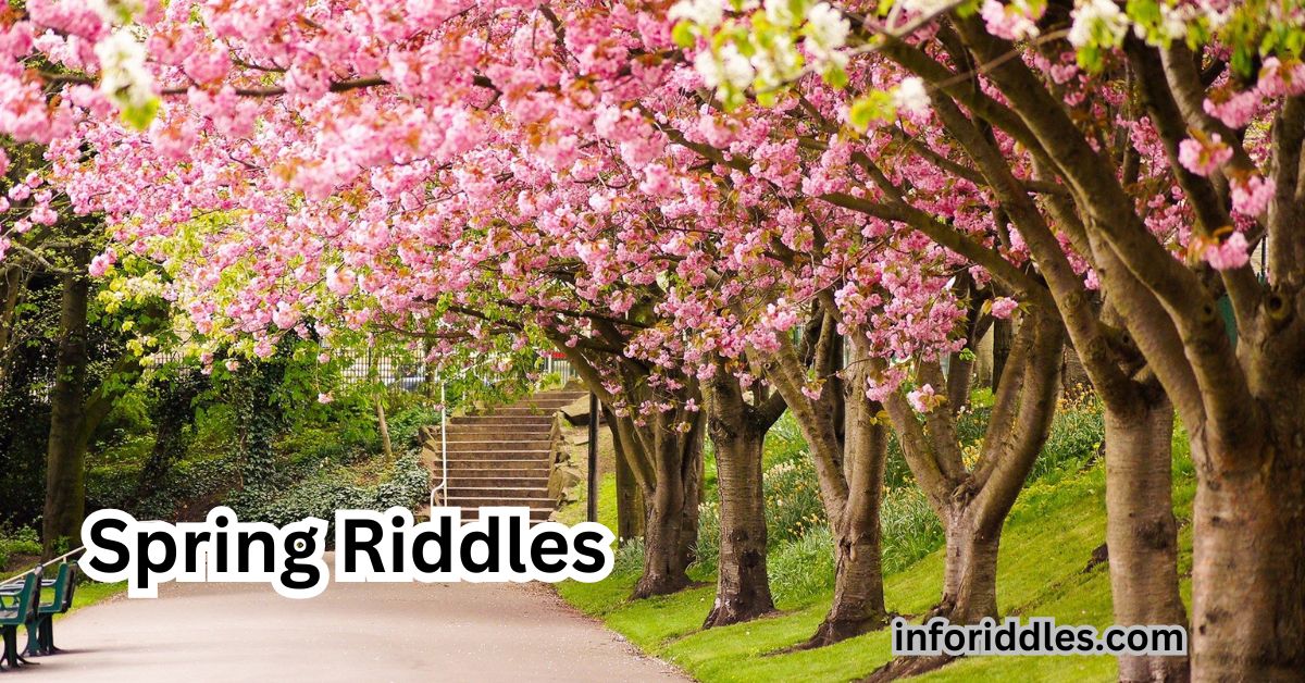 Spring Riddles