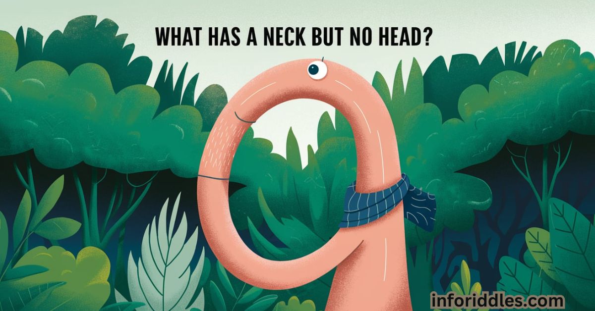 What Has a Neck but No Head